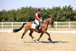 SBM_005604
