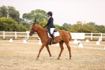 SBM_001101
