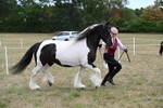 WJ6_5386