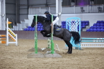 SBM_004967