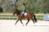 20260905-1654