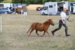 WJ6_6884