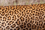 IMG_0990 Nakuru