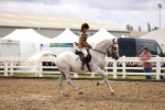 SBM_00558