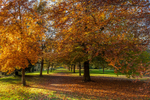 Kingston Maurward in Autumn, Dorset