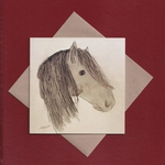 Horse greetings card