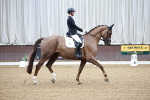 SBM_001527