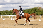SBM_006230