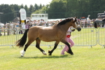 SBM_02410