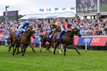 250726-Race 1-Kodiac Thriller-6739