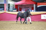 SBM_16171