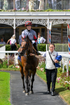 280625-Race 3-Squealer-0233-2