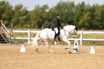 SBM_011921