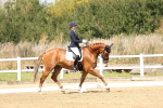 SBM_018360