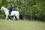WJ6_1728