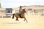 SBM_003694