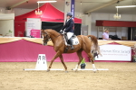SBM_09454