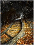 The Winding Steps, Tollymore Forest Park (IMG0133)