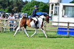 SBM_11475
