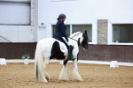 SBM_003177