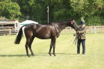 SBM_10319