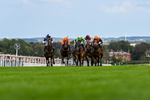 300826-Race 2-Jm Jungle-9504