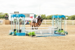 SBM_018305