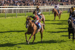 141023-Race 3-Montassib-0414