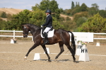 SBM_022604
