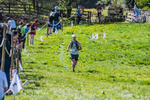The Finish-462
