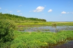 Siemianówka area, Poland