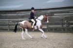 SBM_007909