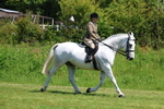 3E7A8239