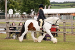 SBM_06096