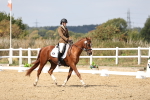 SBM_018801