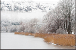 In the Grip of Winter