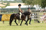 SBM_05413