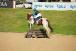 SBM_28784