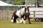 SBM_06021