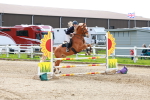SBM_001842