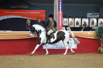 SBM_10595