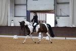 SBM_002974