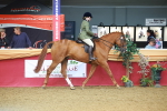 SBM_09602