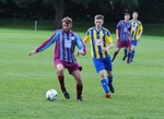 Kendal County Reserve v Dent portfolio