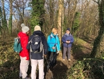 011  Arrival at Whitcliffe wood to regroup