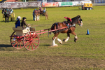 Harness Driving Challenge 26. 0A3A9740