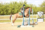 SBM_002984