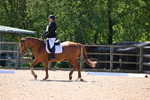 WJ6_9883