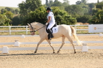 SBM_002817