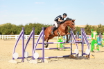 SBM_003937